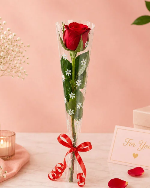 Red Plastic Rose Moon